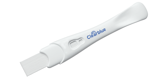 cb11symbolic_main_02