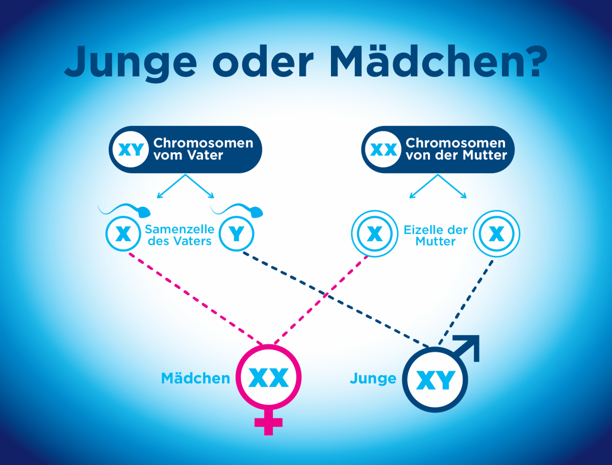 Ss mädchen oder junge anzeichen