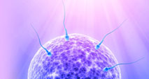 Wann Soll Man Mit Einem Ovulationstest Den Eisprung Testen